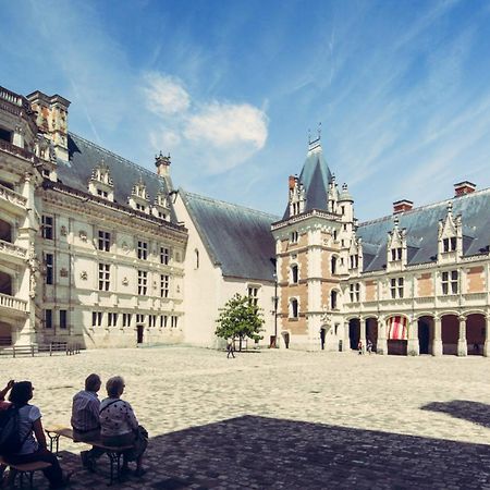 Gite De La Tour De Loire - 65 M2 Au Pied D'Une Tour De Gue Du 17Eme Siecle Mer Eksteriør billede