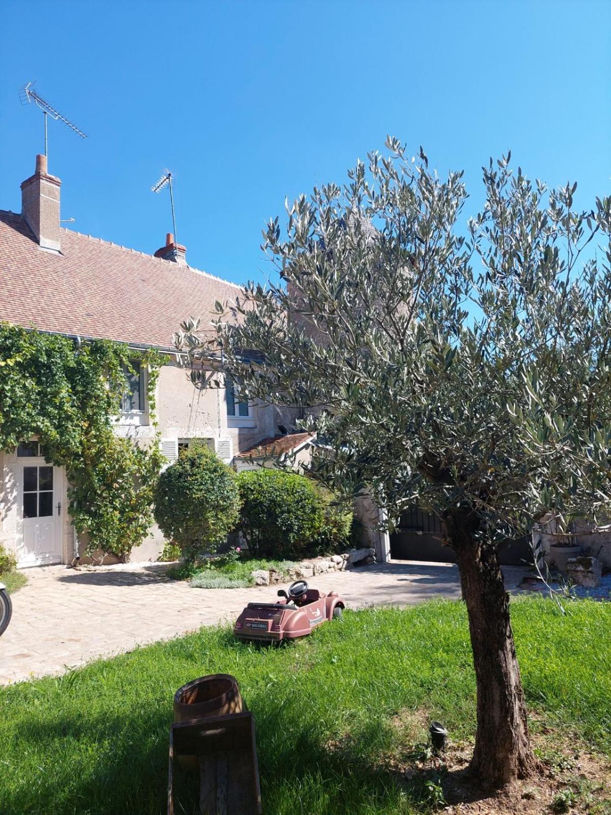 Gite De La Tour De Loire - 65 M2 Au Pied D'Une Tour De Gue Du 17Eme Siecle Mer Eksteriør billede